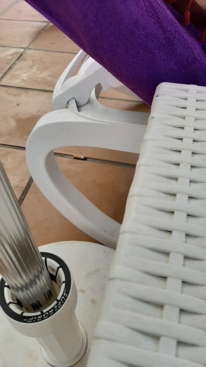 Pool FERGUS Style Bahamas