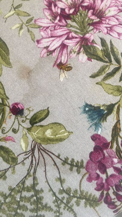 Zimmer Aquarius Apartments