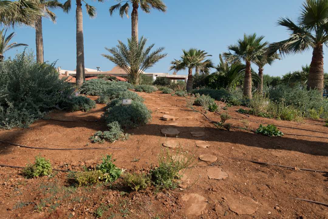 Gartenanlage Anissa Beach & Village