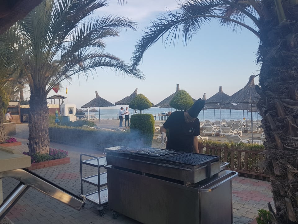 Abendessen Quattro Beach Spa & Resort