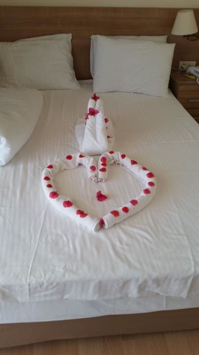 Unsere lieben Zimmerreinigungsfeen Dream Family Club