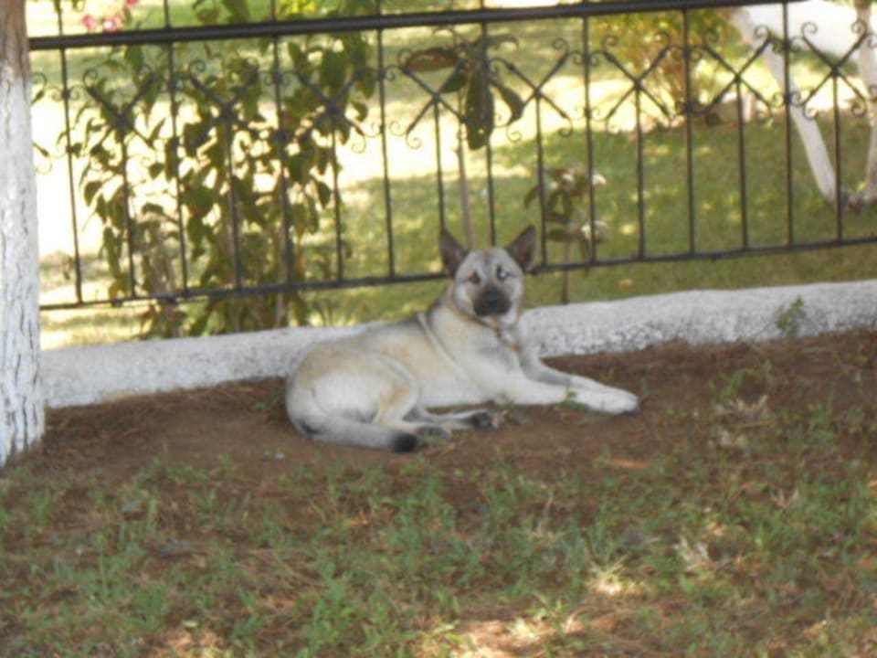 Der schöne Einäugige Remer Hotel