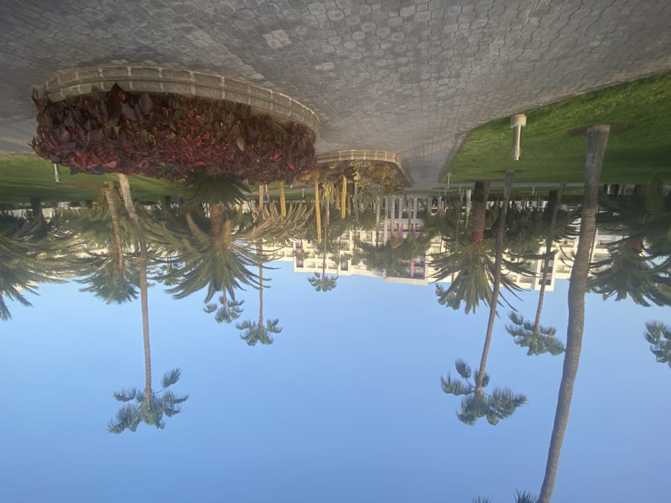 Gartenanlage Hotel Riu Gran Canaria