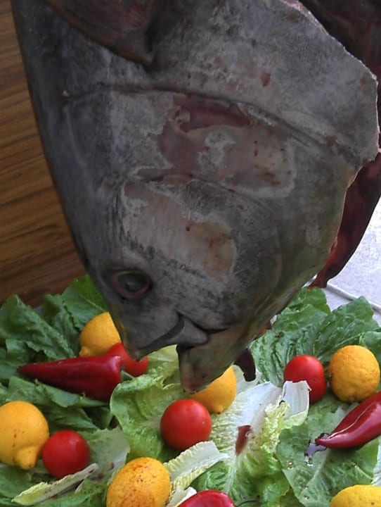 Mediterraner Abend Alaiye Resort & Spa