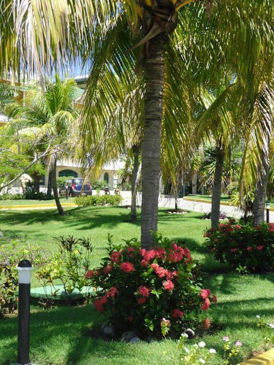 Aussenanlagen vor dem Las Antillas Melia Las Antillas - Adults only