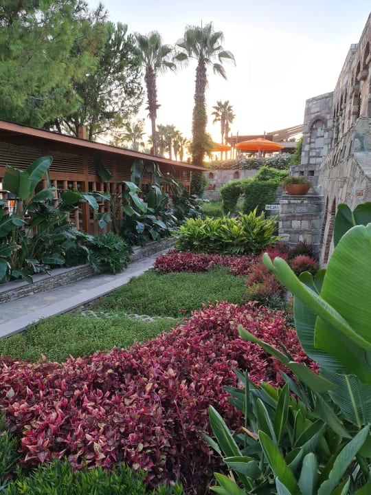 Ausblick Arum Barut Collection