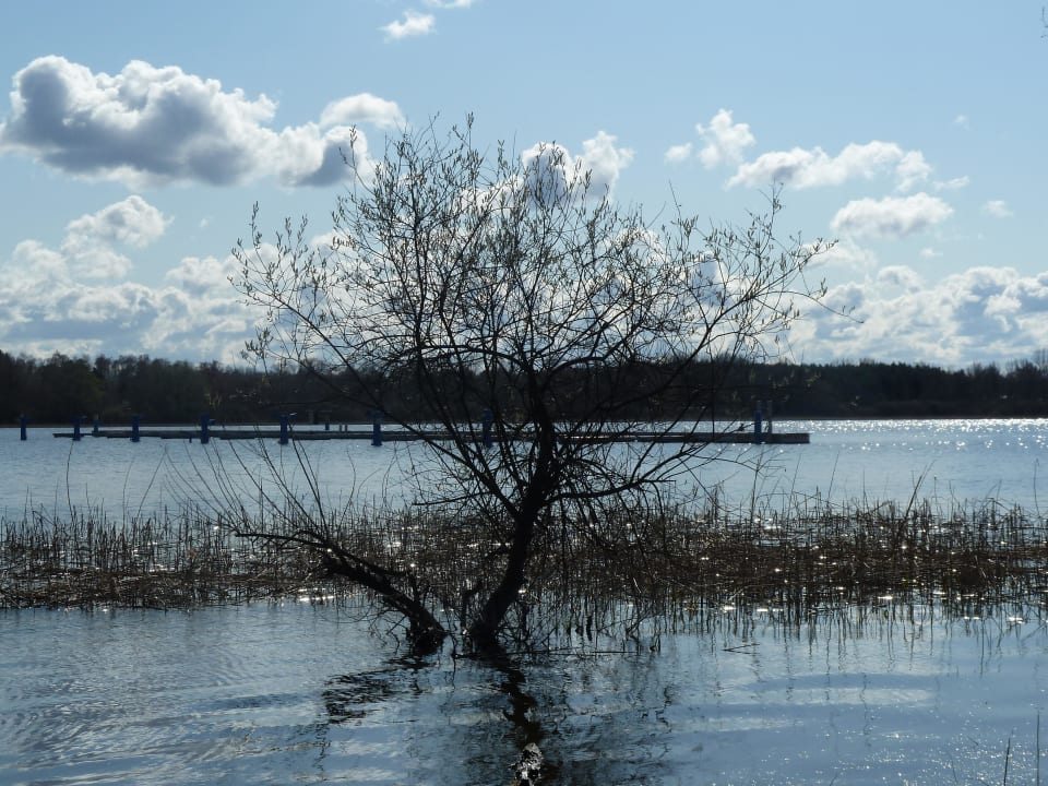 Der See vor dem Hotel Seehotel Brandenburg a.d. Havel