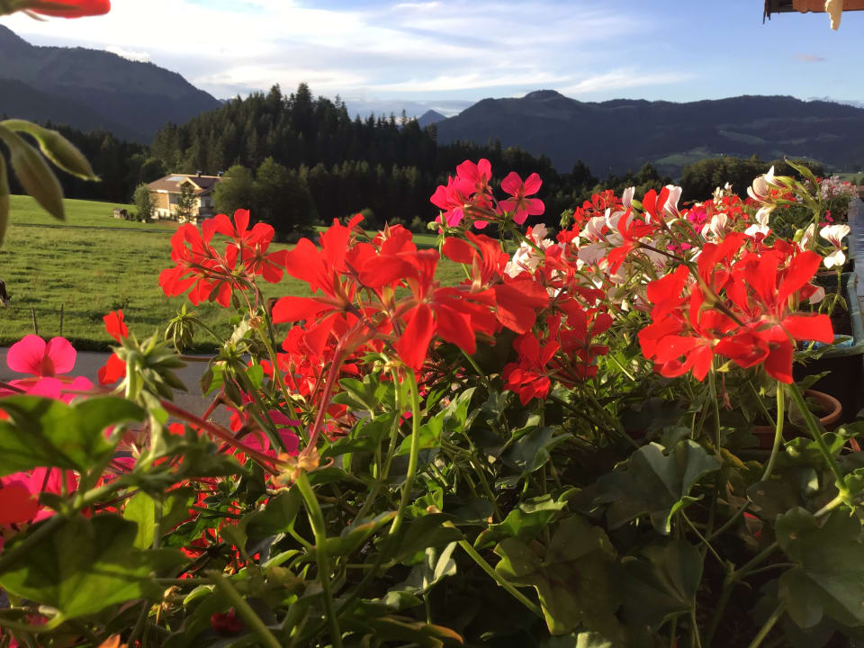 Ausblick Bio-Bauernhof Oberhochstätt