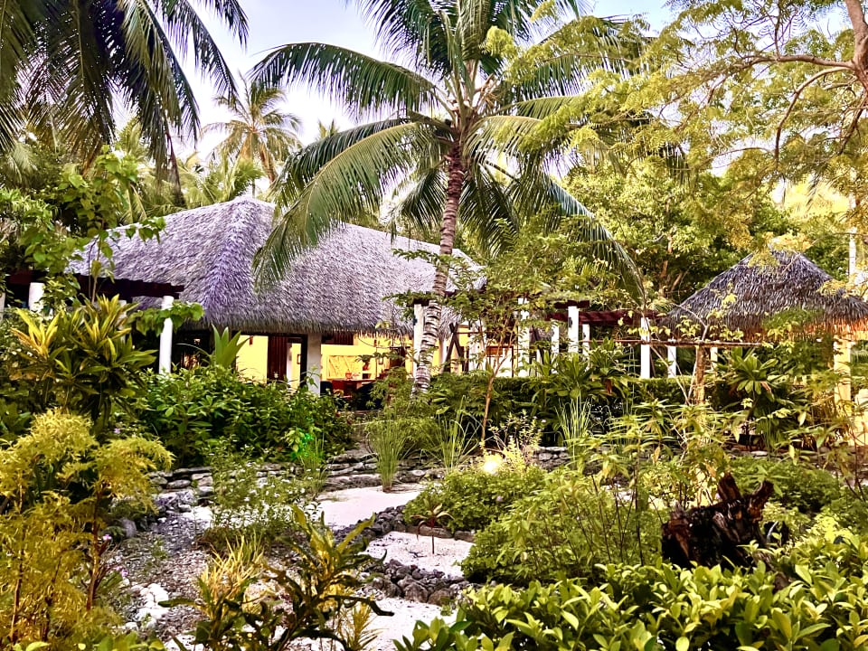 Gartenanlage ROBINSON MALDIVES