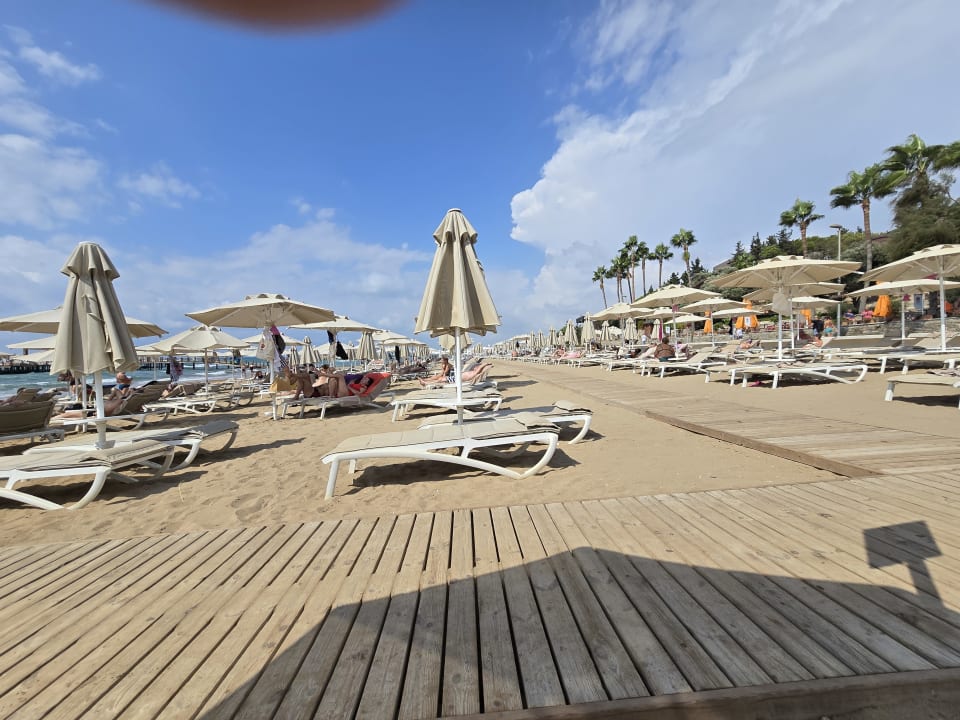 Strand Arum Barut Collection