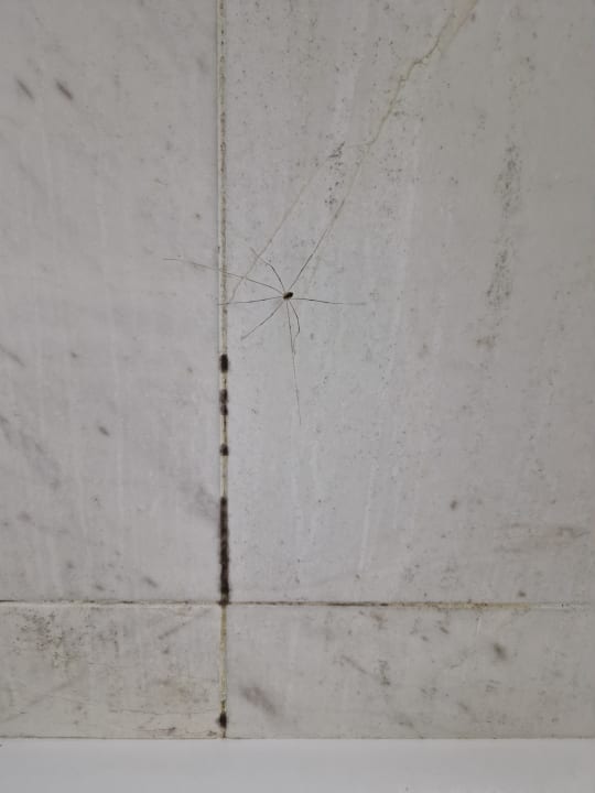 Zimmer Fereniki Holiday Resort & Spa