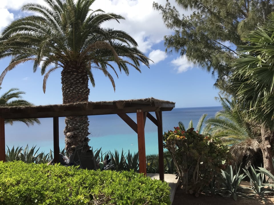 Ausblick ROBINSON ESQUINZO PLAYA