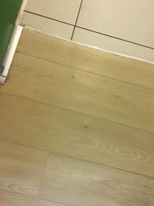 Zimmer Monachus Family Resort Sorgun