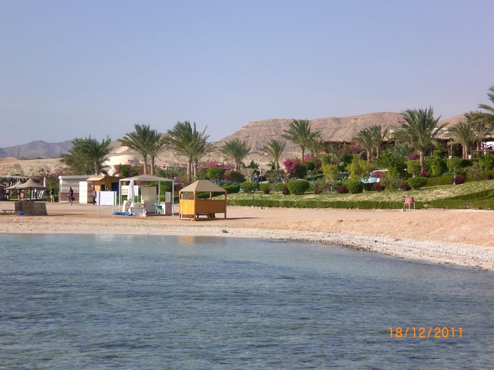 Strand TUI MAGIC LIFE Kalawy