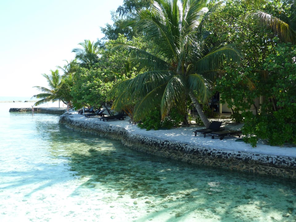 Strandsituation ab Bungi 313 Ellaidhoo Maldives by Cinnamon