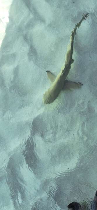 Strand Adaaran Select Meedhupparu Island Resort - Premium All Inclusive