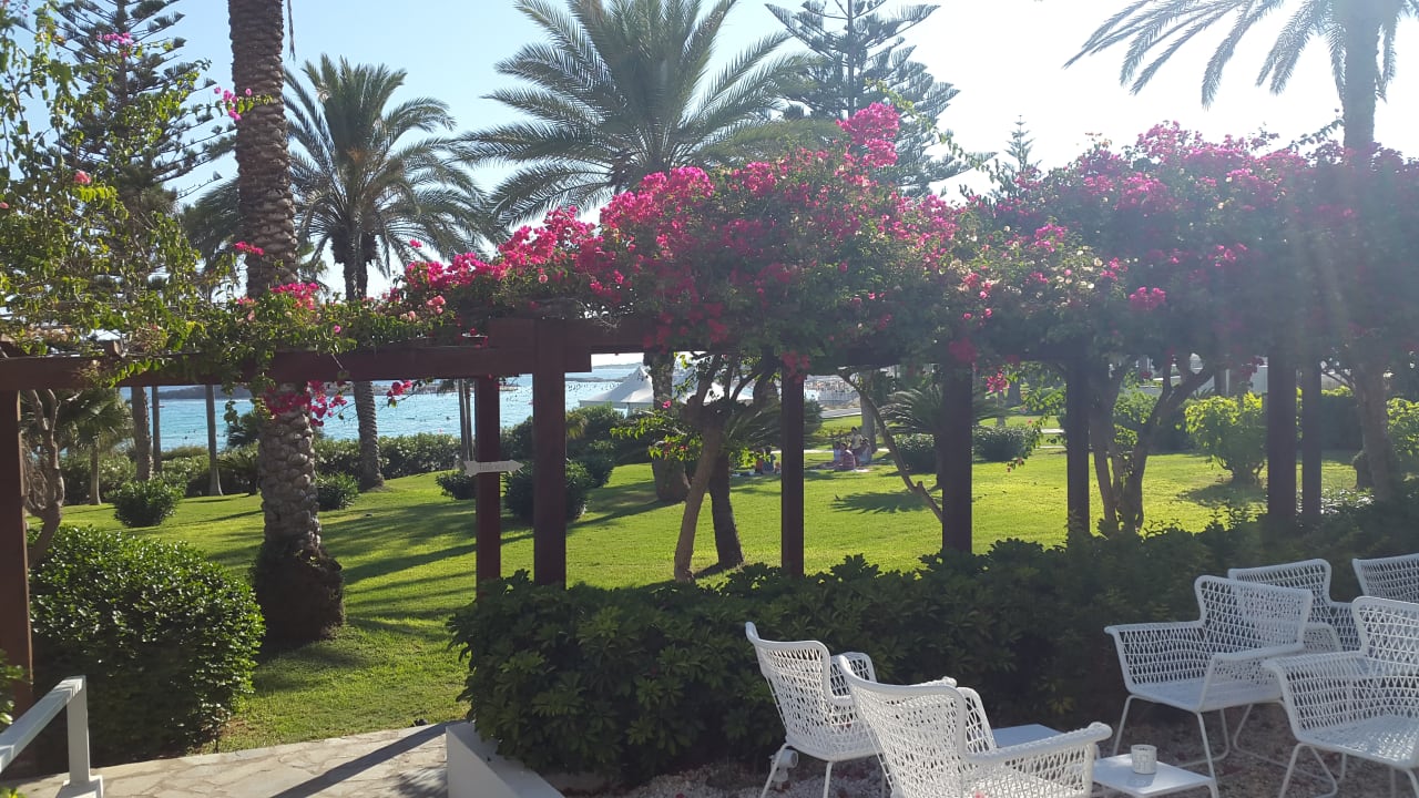 Gartenanlage Hotel Nissi Beach Resort