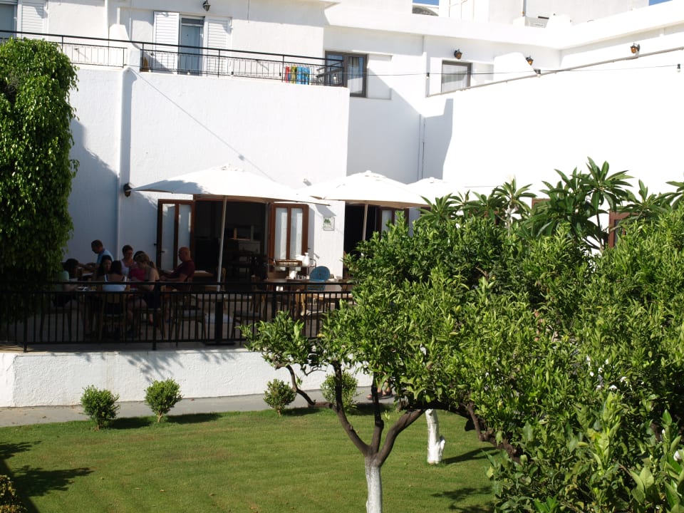Gartenanlage Hotel Malia Holidays