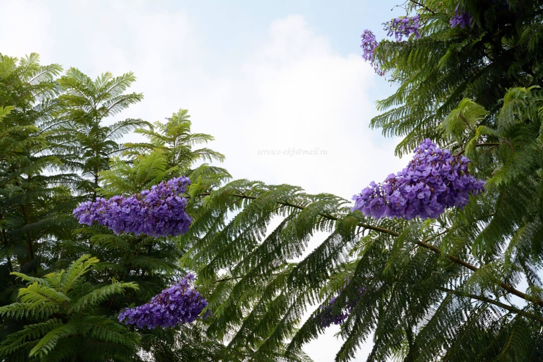 Titanic Deluxe Belek Titanic Deluxe Golf Belek