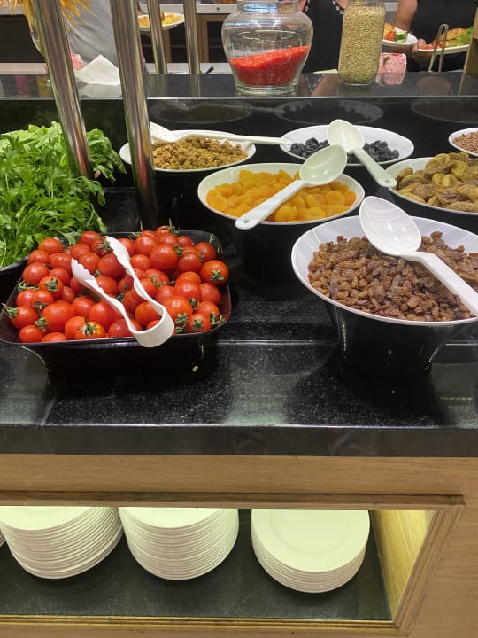 Gastro Seashell Vega