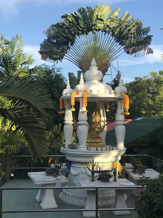 Gartenanlage Samui Mermaid Resort