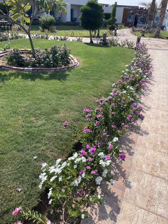 Gartenanlage Coral Sun Beach