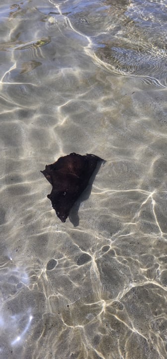 Sonstiges Corissia Beach Hotel