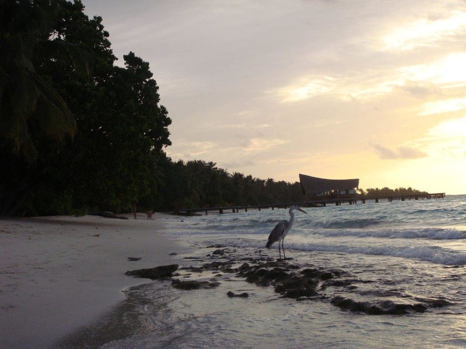 Sonnenuntergang Kuramathi Maldives