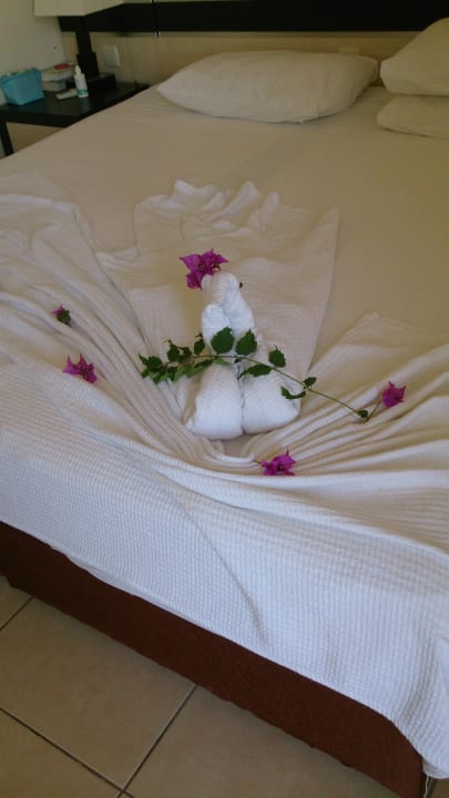 Kunst Hotel Orfeus Park