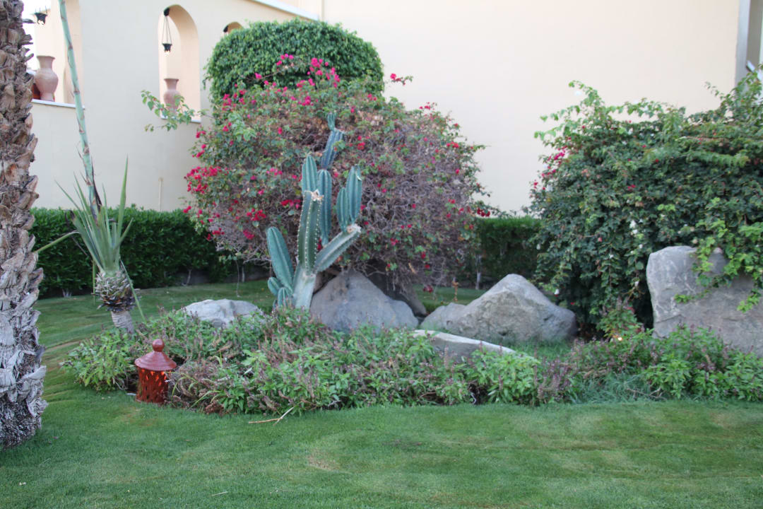 Gartenanlage Jaz Makadi Saraya Resort