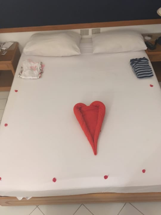 Jeden Tag was Neues Desert Rose