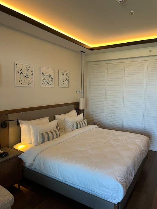 Zimmer Anda Barut Collection