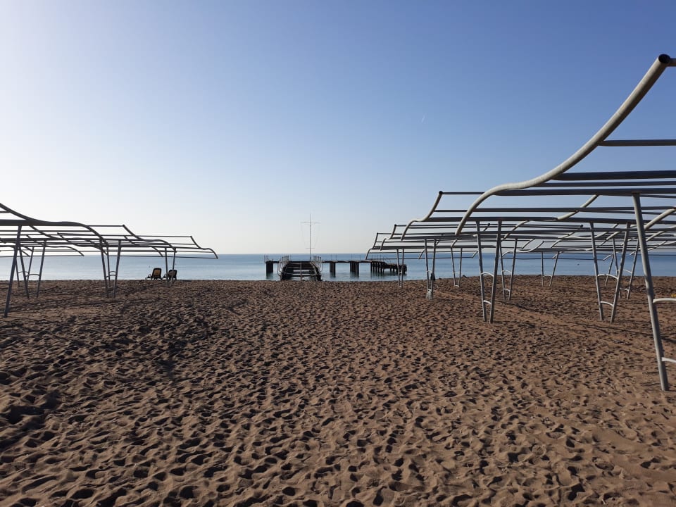 Strand Sherwood Exclusive Lara