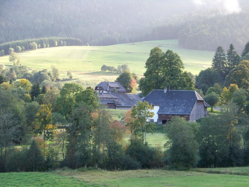 Ausblick vom Balkon Hotel Landgasthof Bergblick