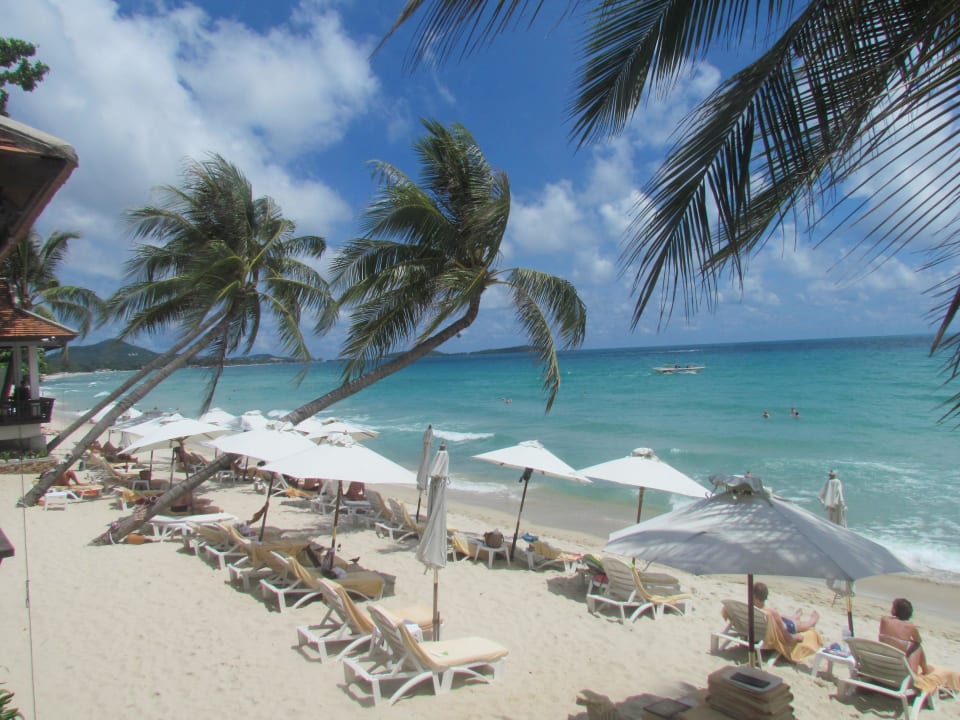 Blick von der Terrasse nach links Samui Paradise Chaweng Beach Resort & Spa