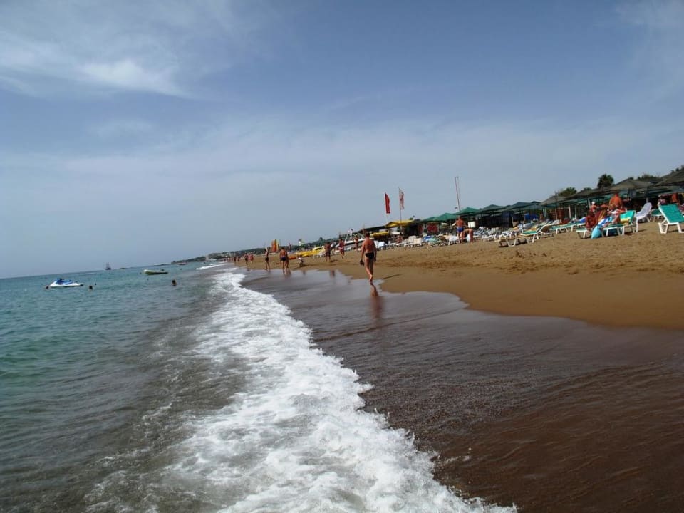 Achtung: Felsplatten im Wasser Asteria Collection Side