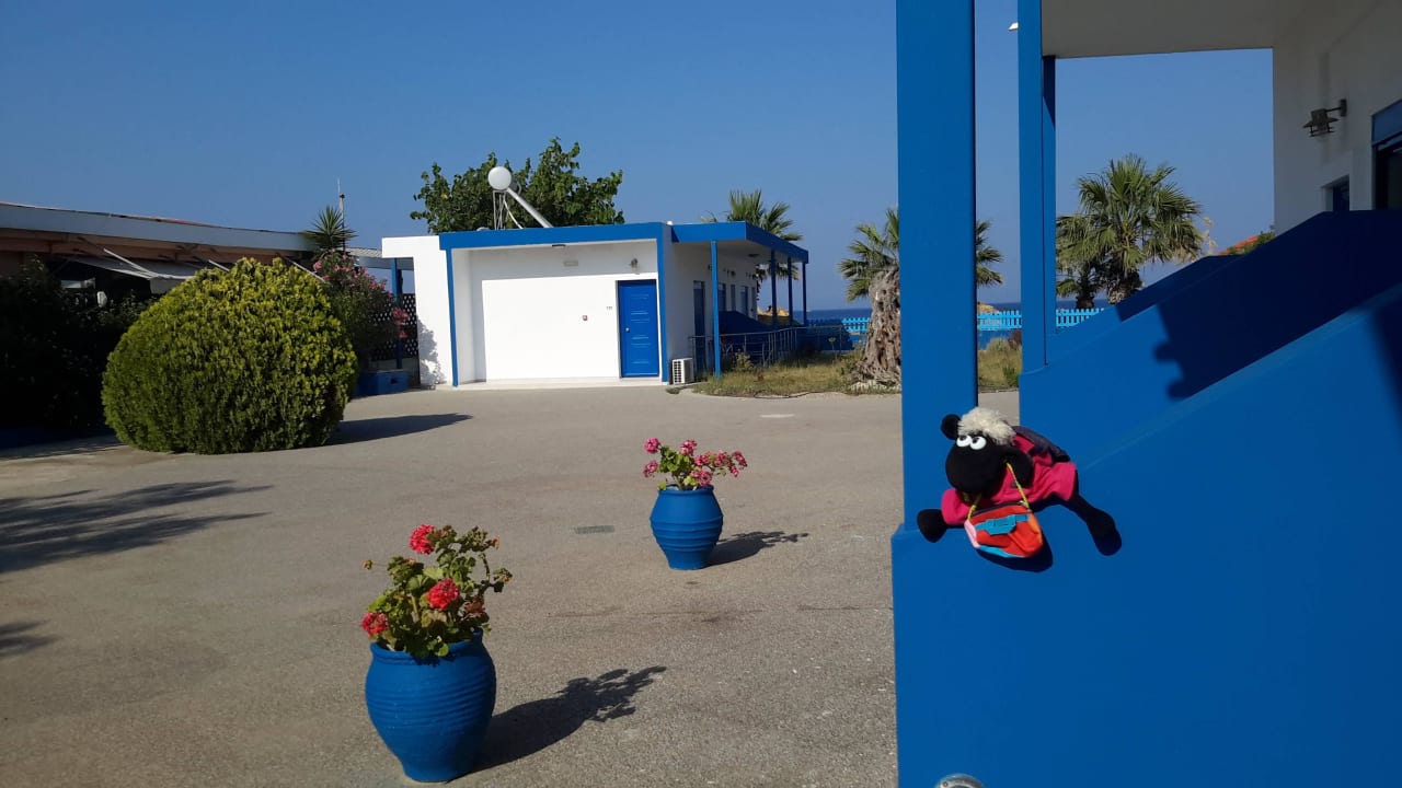 Standard Zimmer Ausblick Hotel Aquarius Beach