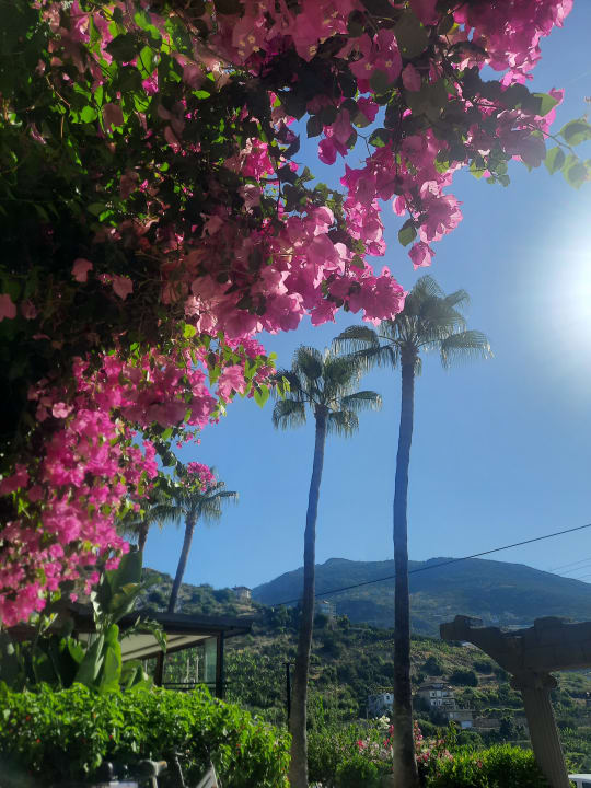 Ausblick La Finca Marina