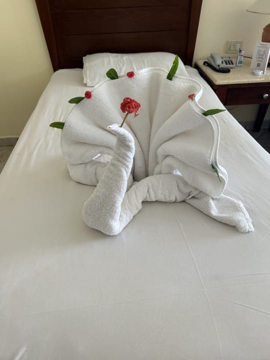 Zimmer Casa Mare Resort