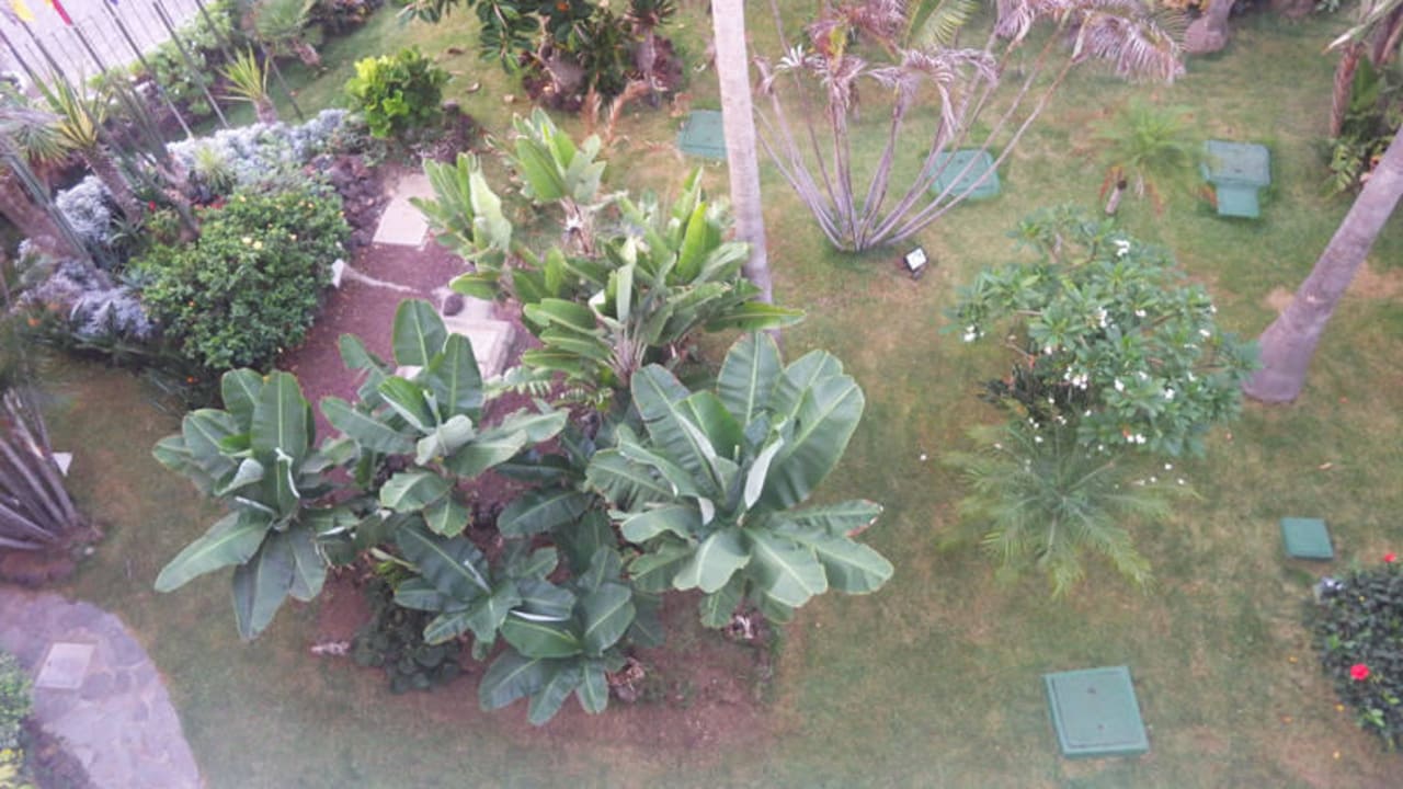 Geruchsbelästigung H10 Tenerife Playa