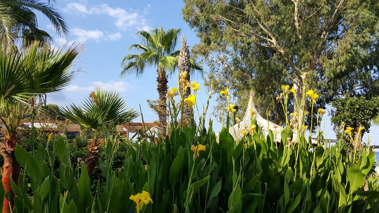 Gartenanlage DoubleTree by Hilton Antalya-Kemer