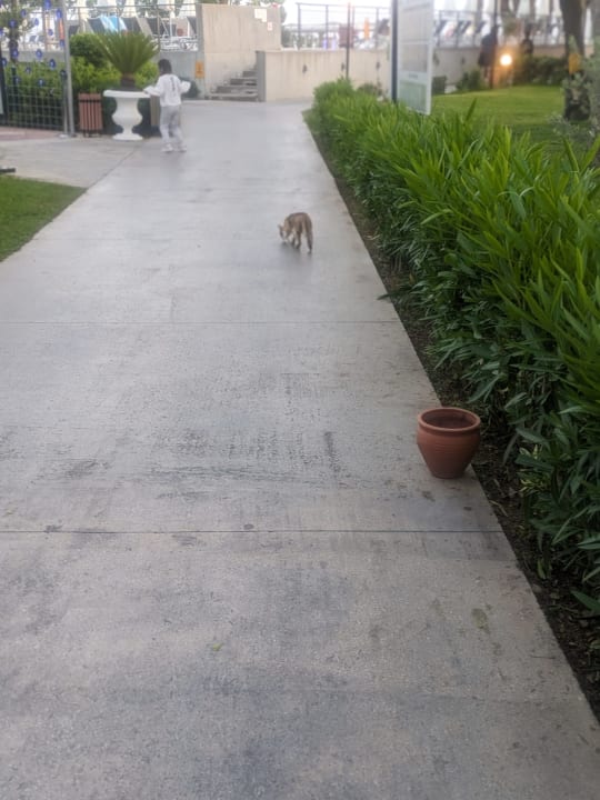 Gartenanlage Labranda Alantur Resort