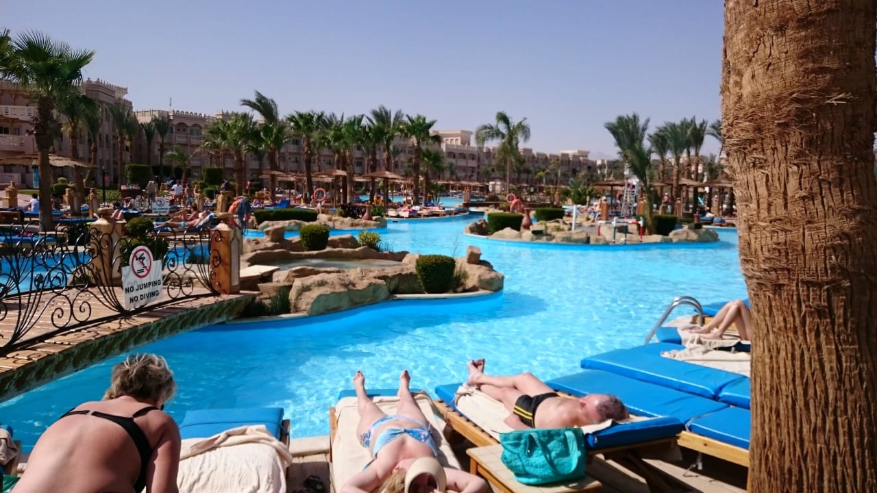 Pool Pickalbatros Palace Resort