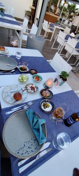 Gastro Acanthus Cennet Barut Collection