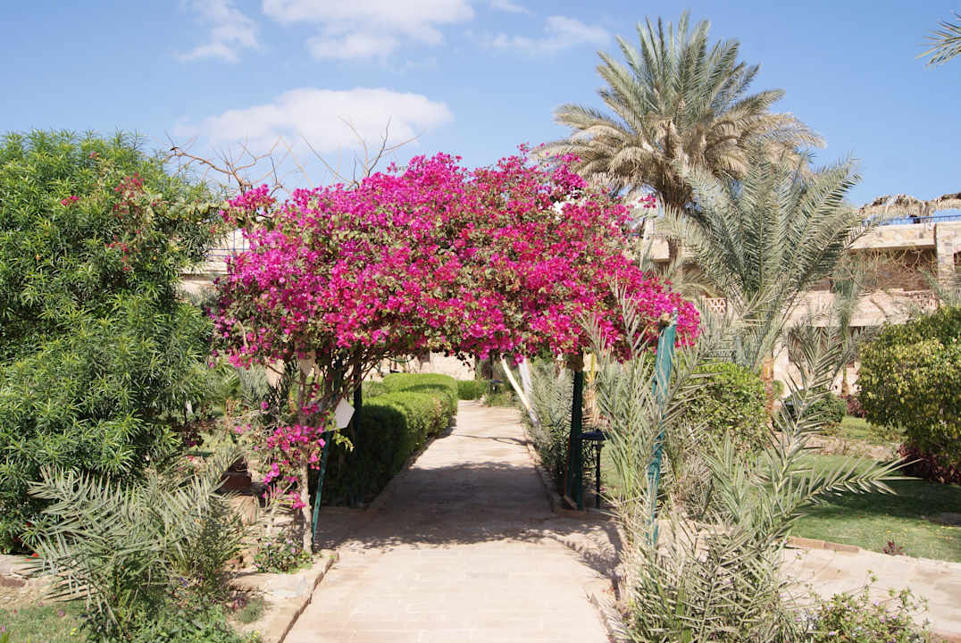 Schöne Spazierwege Utopia Beach Club