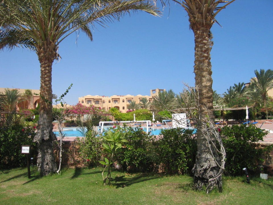 Hotel Iberotel Coraya Beach Steigenberger Coraya Beach - Adults only