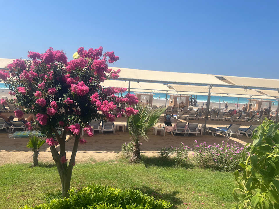 Strand Calido Maris Hotel