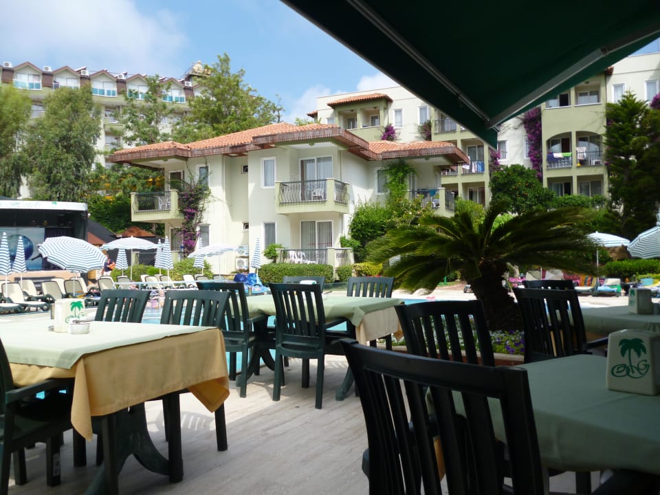 Terrasse mit Blick auf den Pool Hotel Gardenia Beach