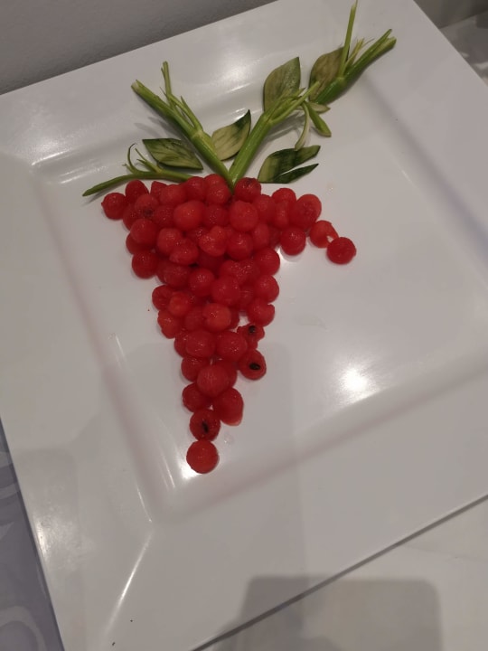 Gastro Hotel Albatros