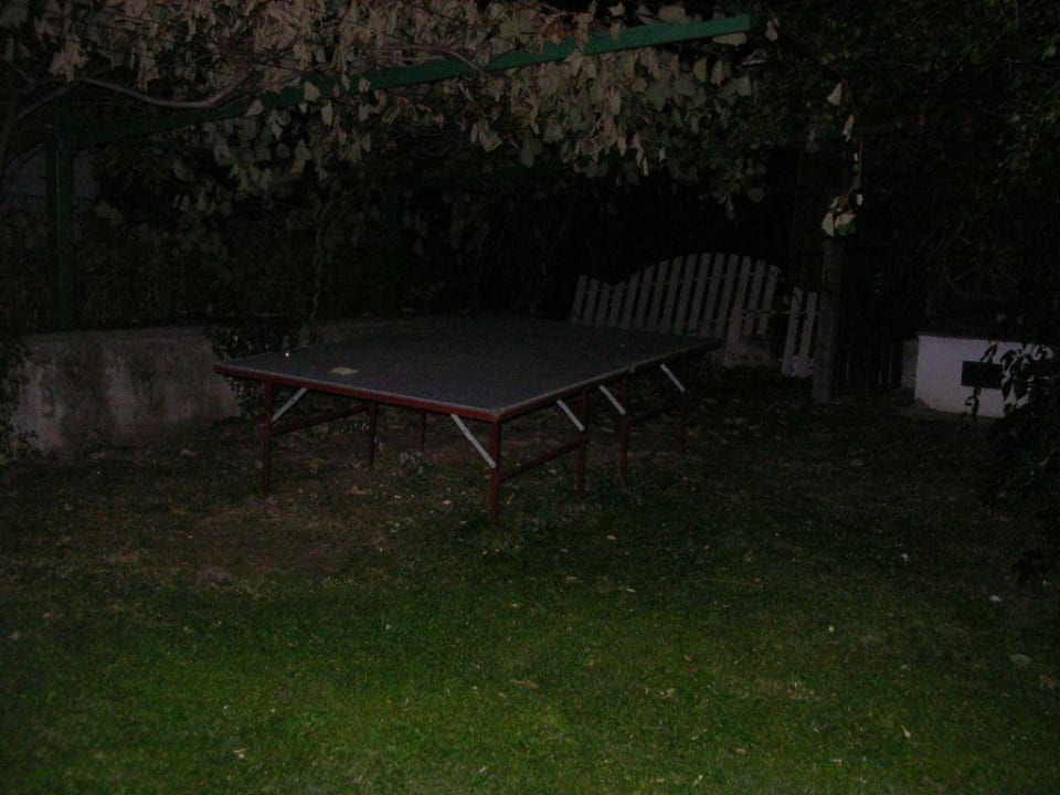 Tischtennisplatte Hotel Alpenhof